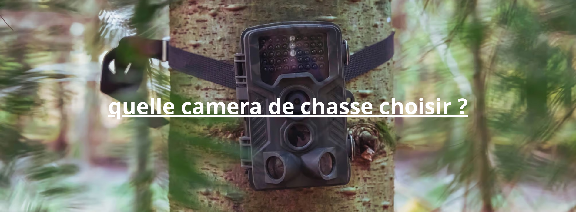 Quelle camera de chasse choisir ?