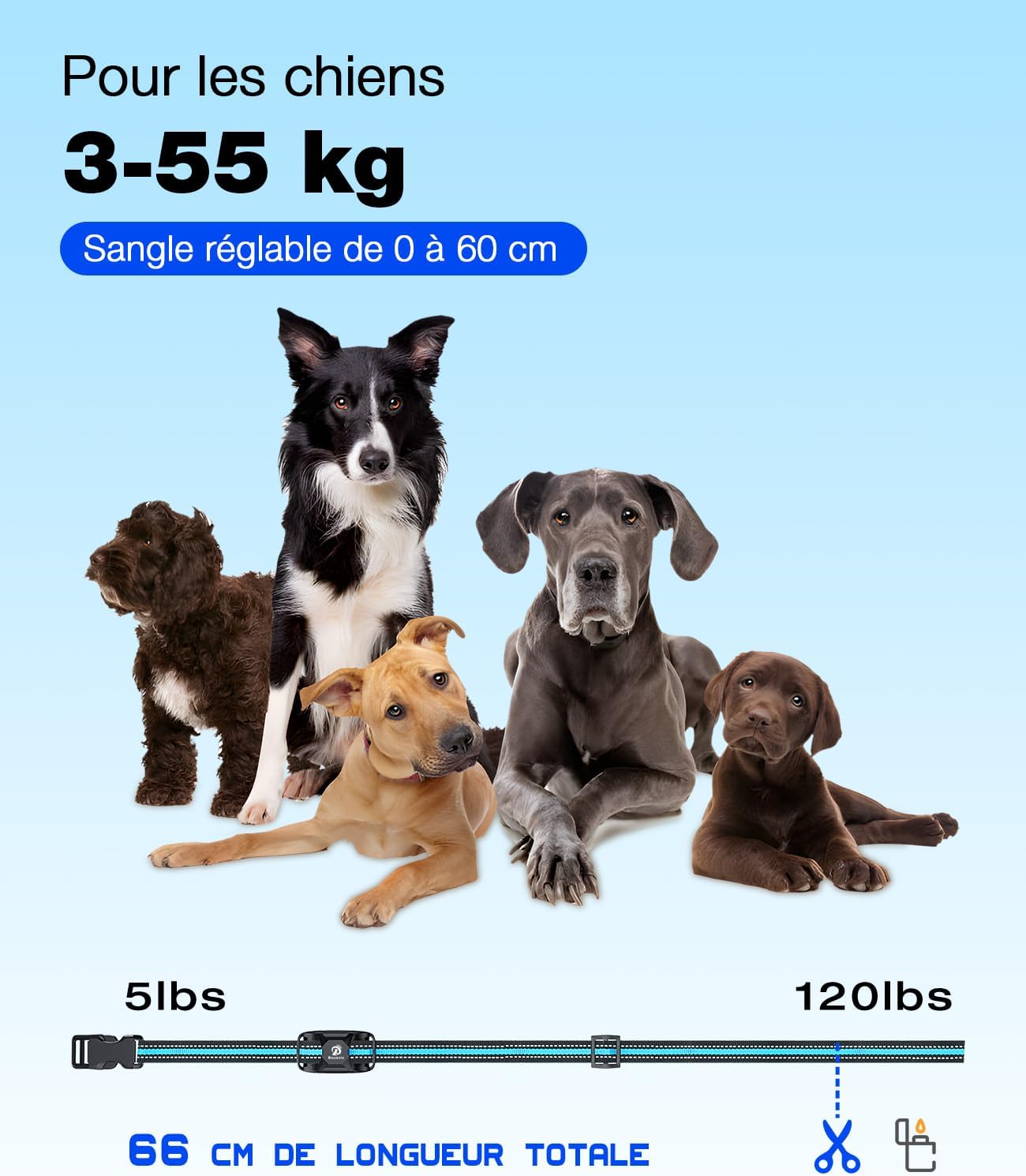 Collier anti aboiement pour Chien de 3000m avec Télécommande Dressage