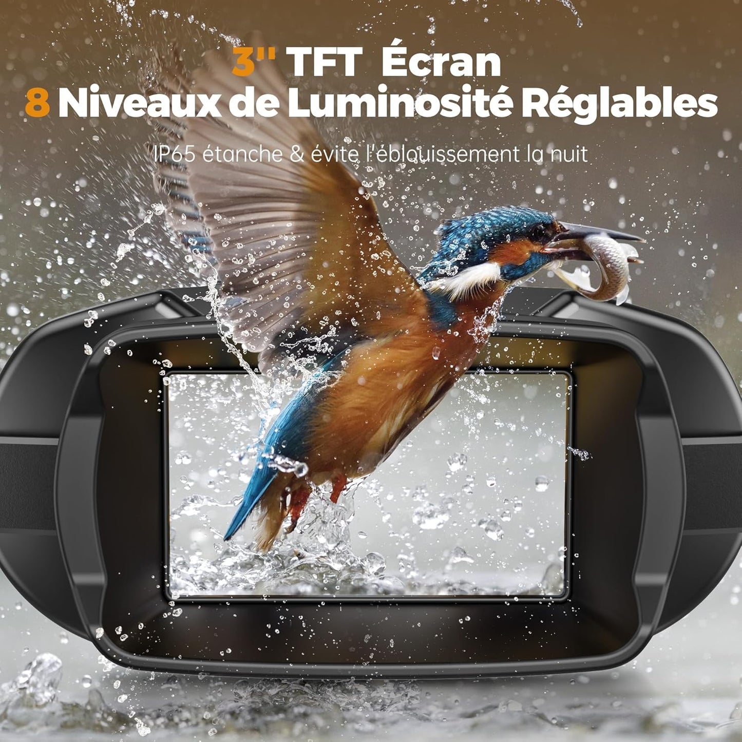 Jumelles de Vision Nocturne 4K, Zoom numérique 8X Chasse Observations