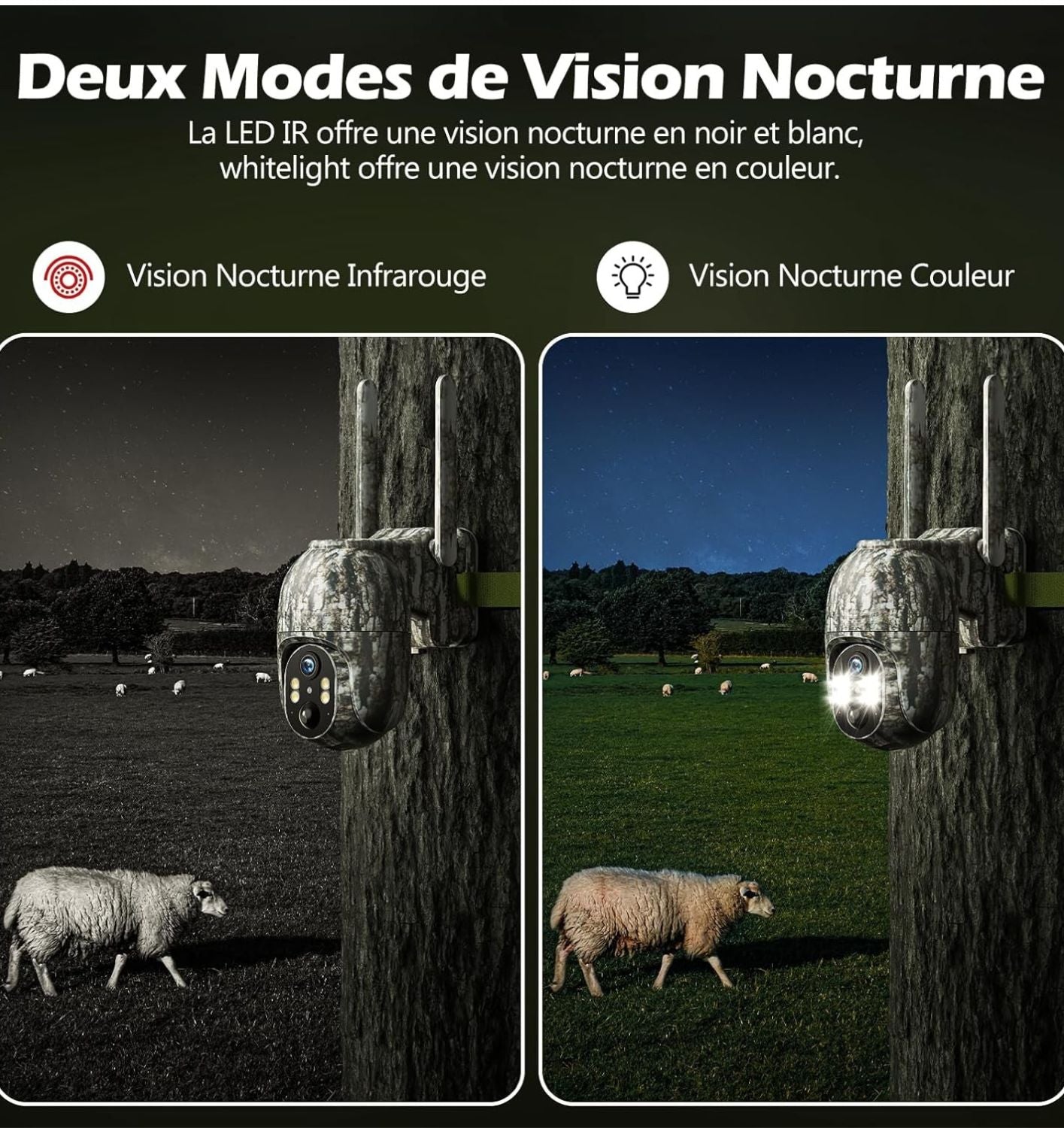 Caméra de chasse 4G avec vision nocturne pour surveillance extérieure