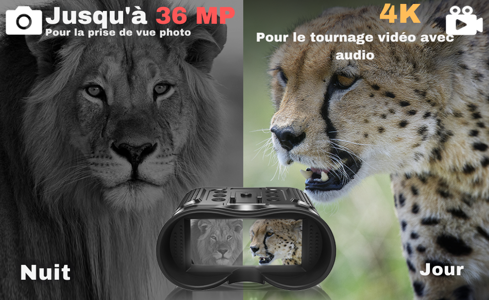 Jumelles à vision nocturne 8X 4K Serre-tête – Infrarouge, Chasse NV400