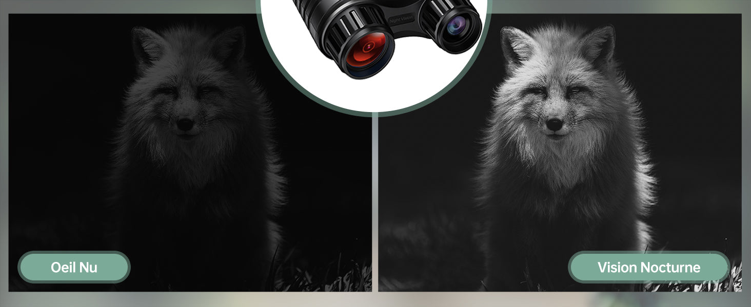 Jumelles Vision Nocturne Infrarouge 300M 36MP Photo et 4K Vidéo | NV2180