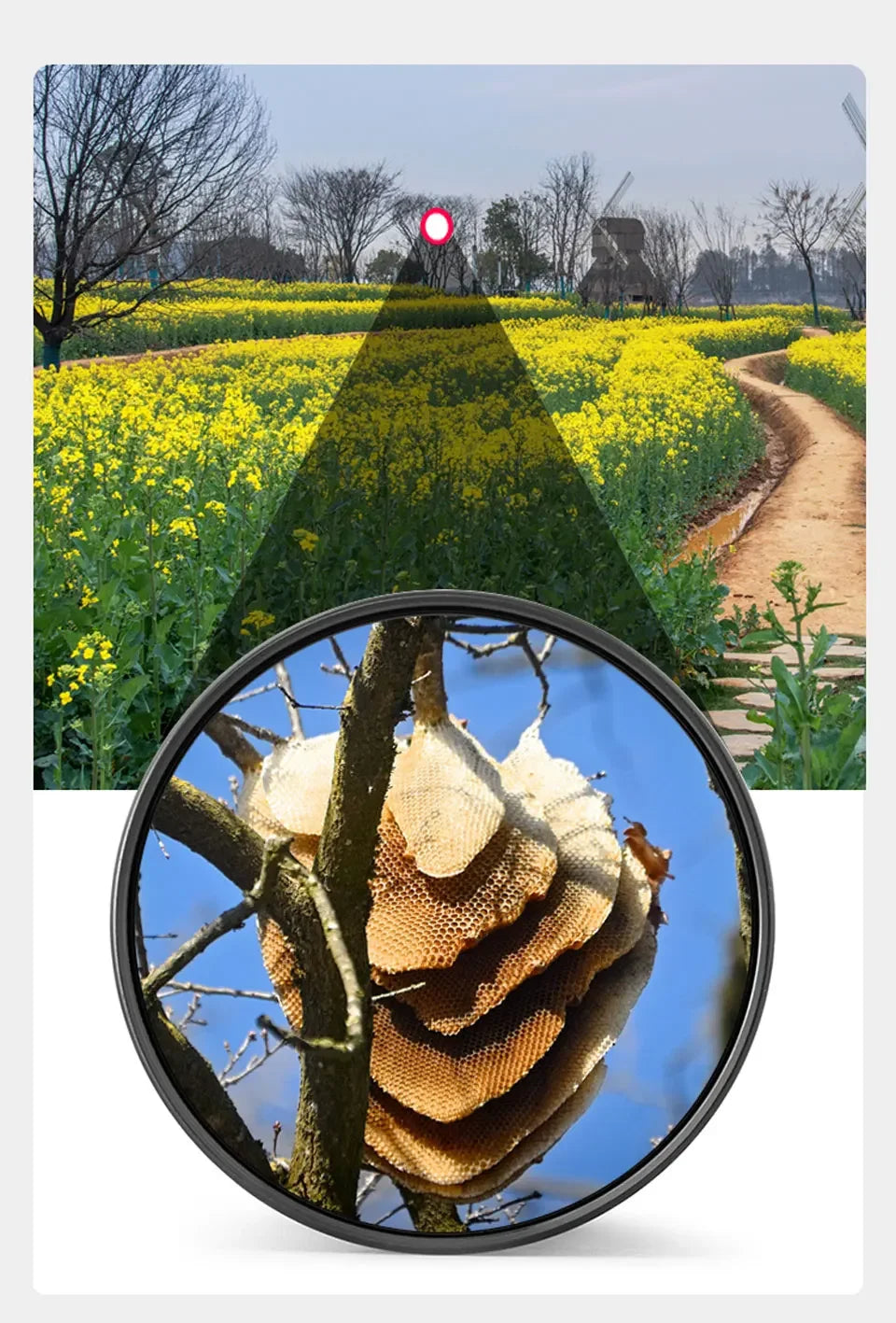 Jumelles Puissantes 90x90 Randonnée HD Zoom Longue Portée - Vision Nocturne Infrarouge