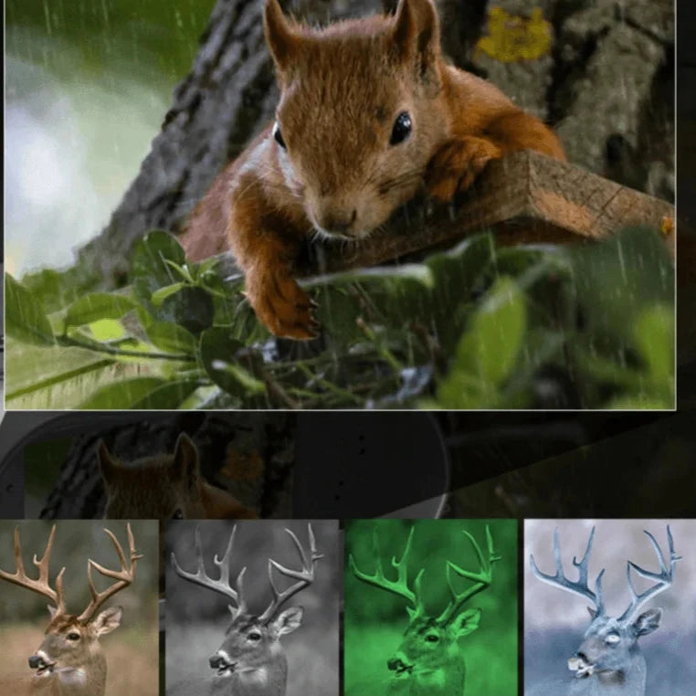 Jumelles Vision Nocturne Infrarouge 300M 36MP Photo et 4K Vidéo | NV2180