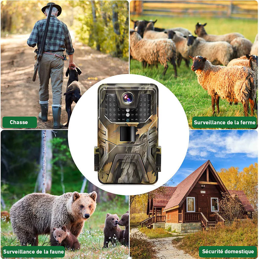 chasse camera