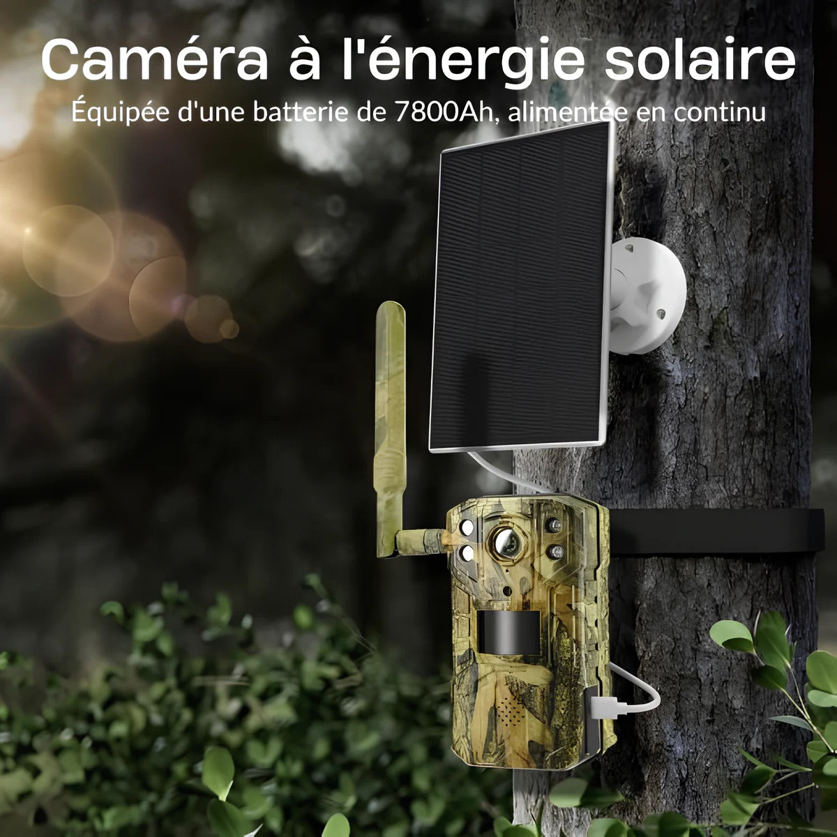 camera de chasse
