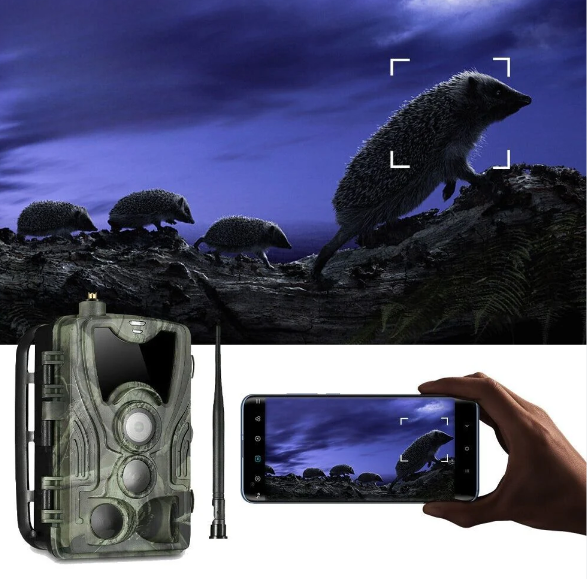 Caméra de Chasse 4G Connectée au téléphone Surveillance
