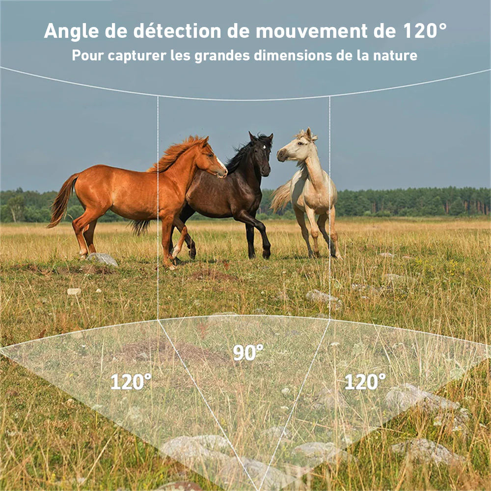 camera de chasse 14