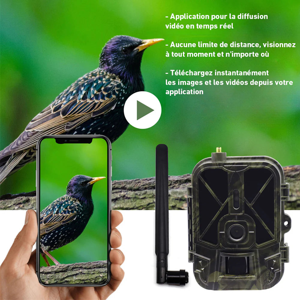 camera de chasse surveillance 4g