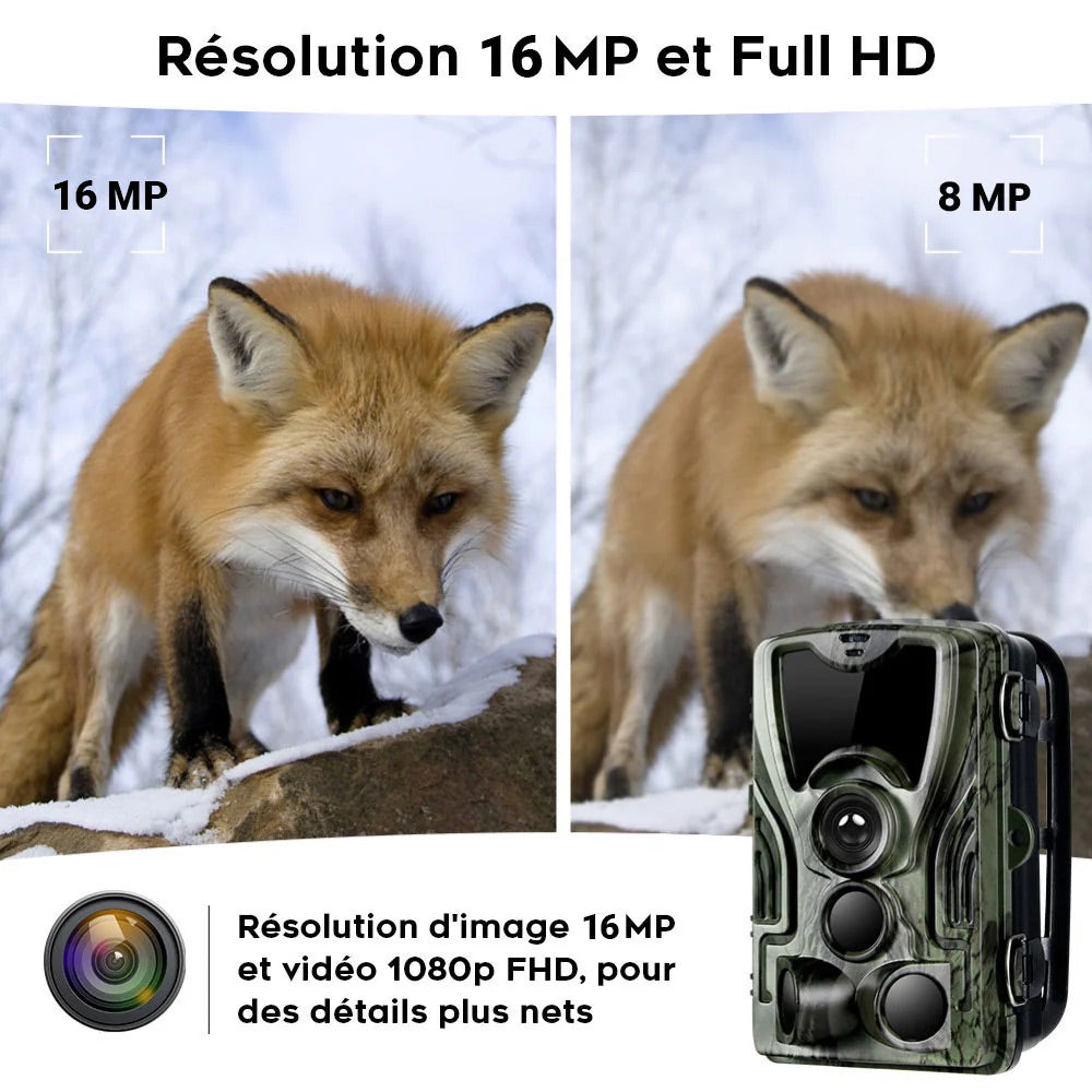 Caméra de Chasse Vision Nocturne HD Écran Intégré et Batterie Longue Durée