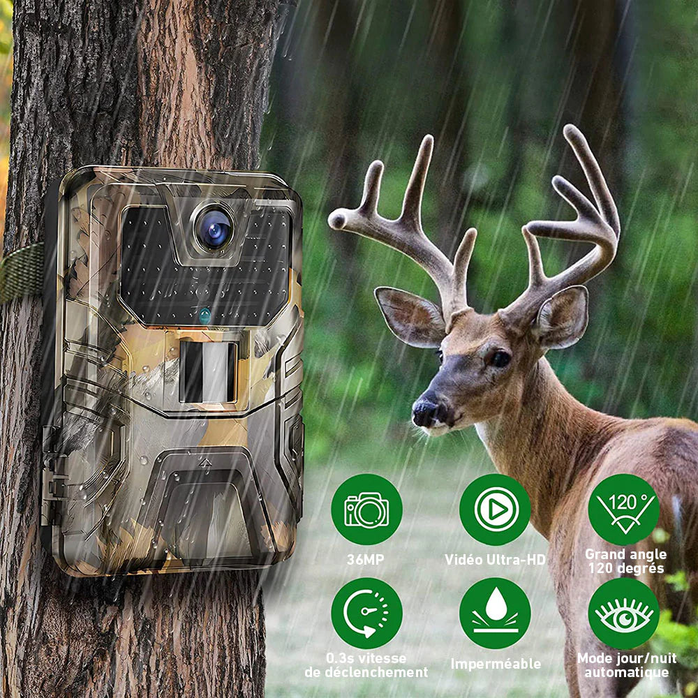 boutique camera de chasse surveillance