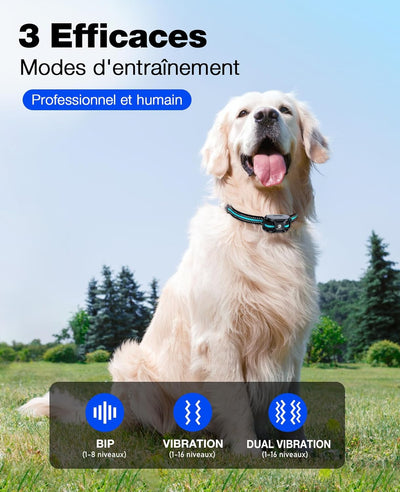 Collier anti aboiement pour Chien de 3000m avec Télécommande Dressage 