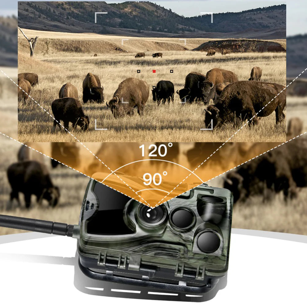 camera de chasse 