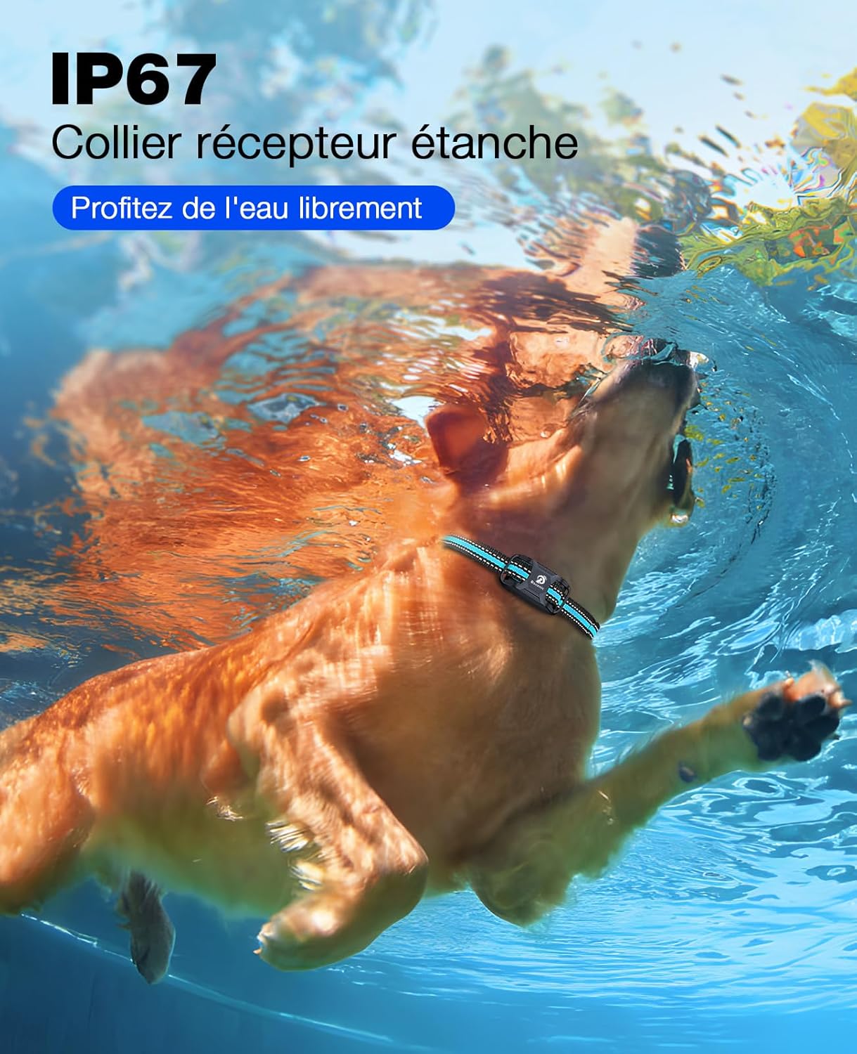 Collier anti aboiement pour Chien de 3000m avec Télécommande Dressage 