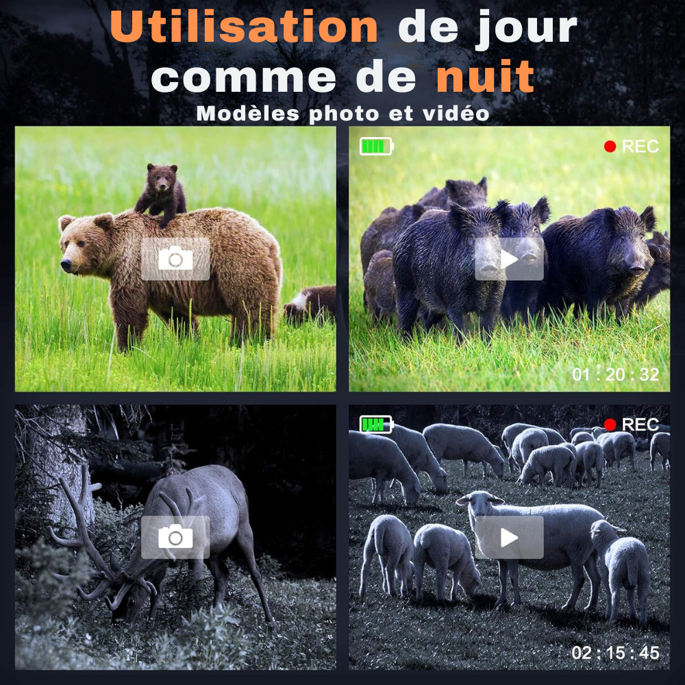 Jumelles_vision_nocturne_3