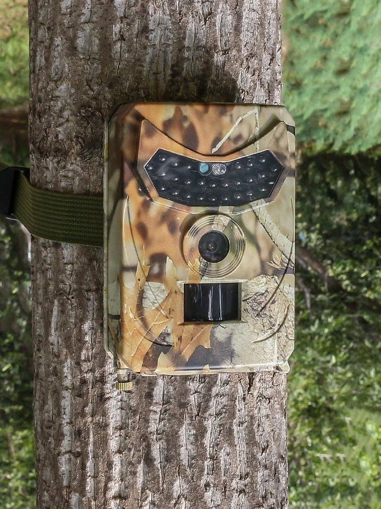 Caméra de Chasse Extérieure 12MP - Vision Nocturne Infrarouge Détection de Mouvement Sms