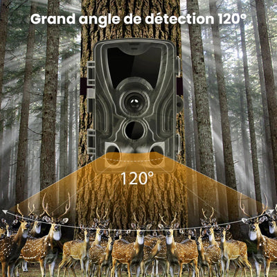 Caméra de Chasse Vision Nocturne HD Écran Intégré et Batterie Longue Durée