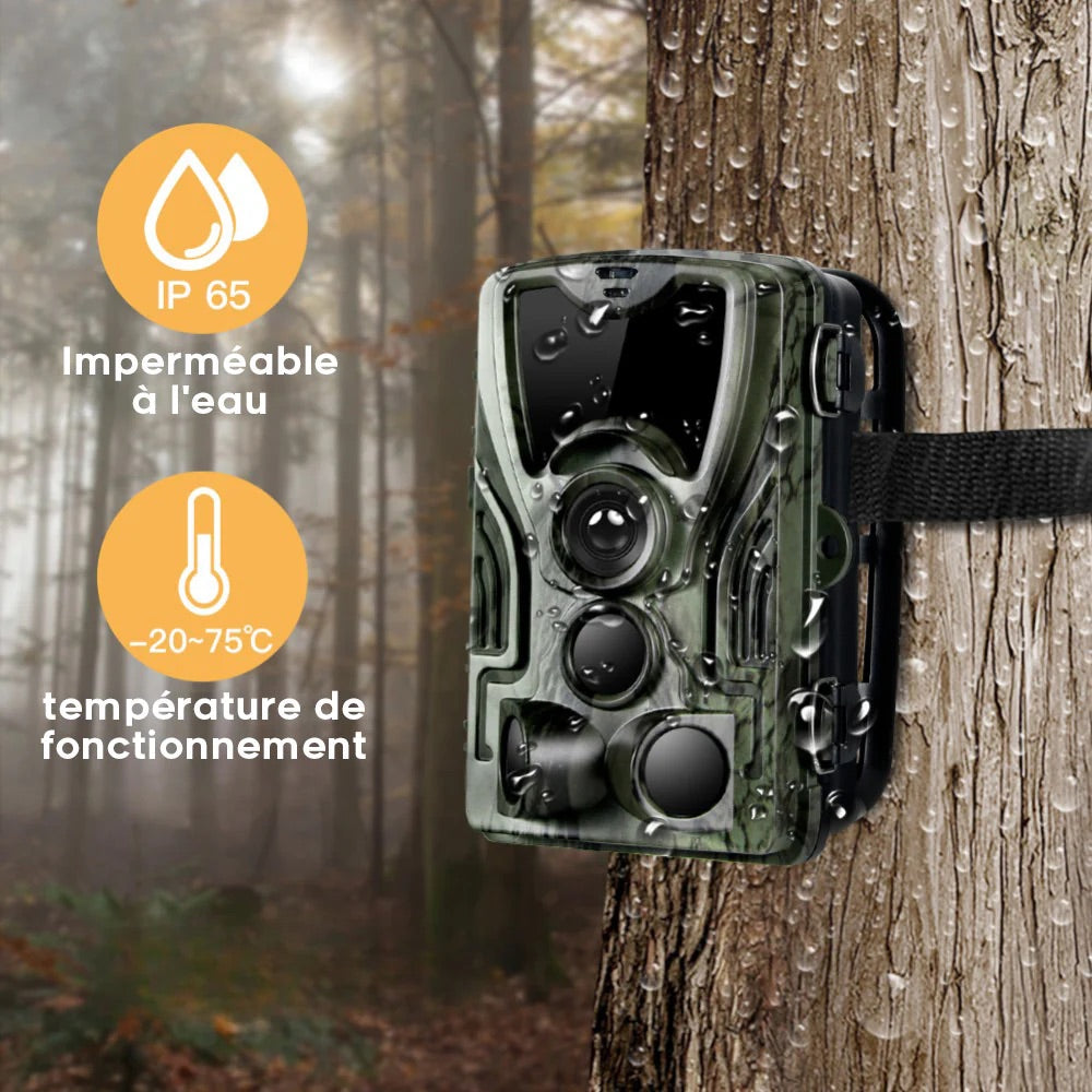 Caméra de Chasse Vision Nocturne HD Écran Intégré et Batterie Longue Durée