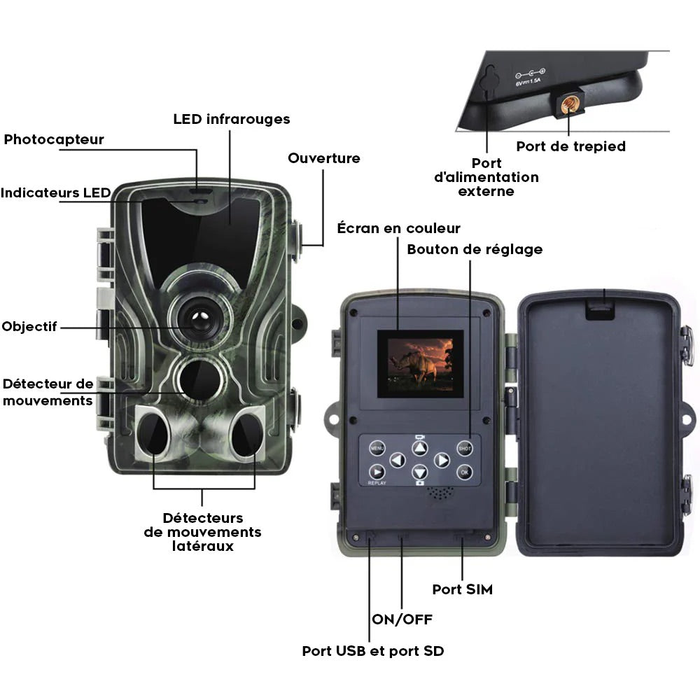 Caméra de Chasse Vision Nocturne HD Écran Intégré et Batterie Longue Durée
