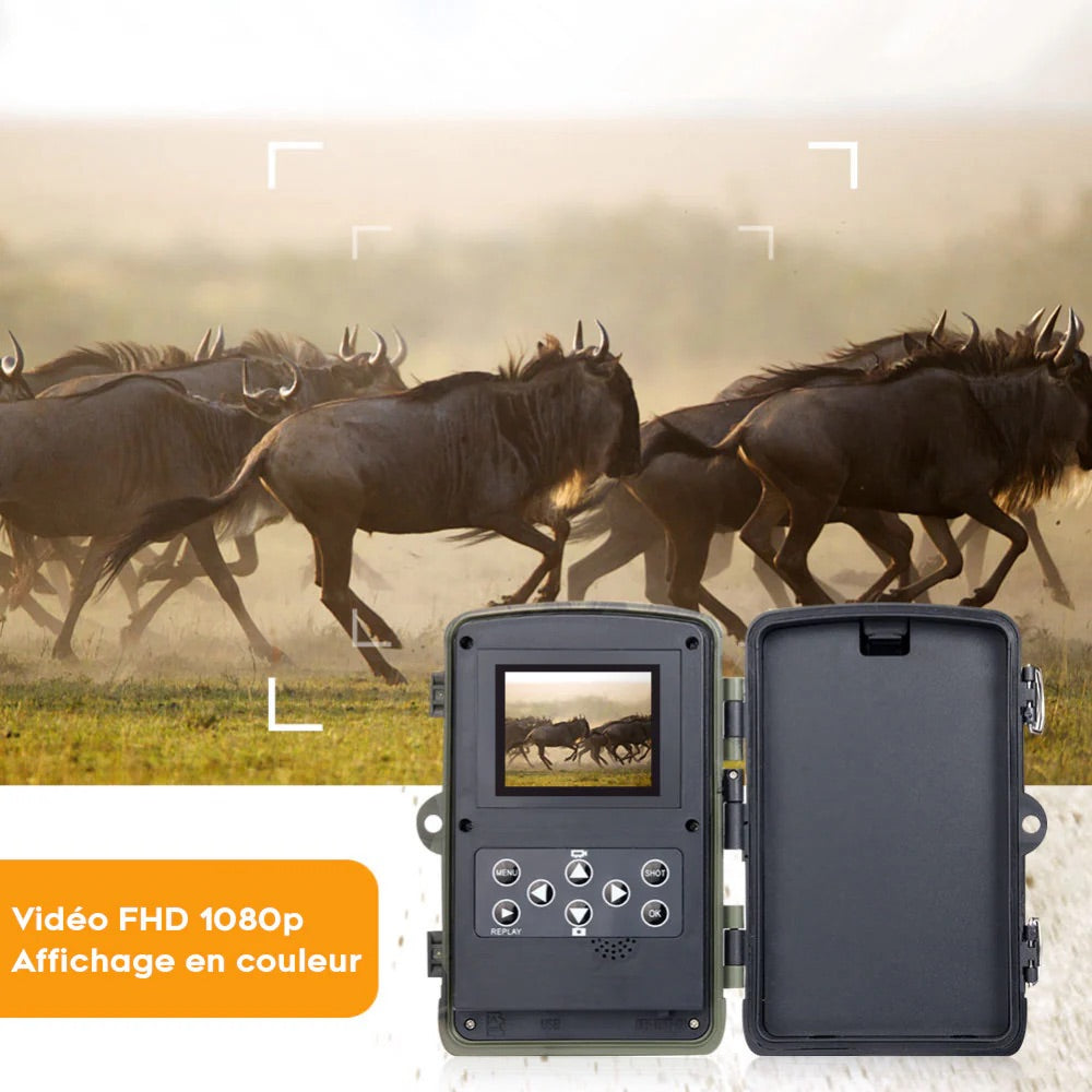 Caméra de Chasse Vision Nocturne HD Écran Intégré et Batterie Longue Durée