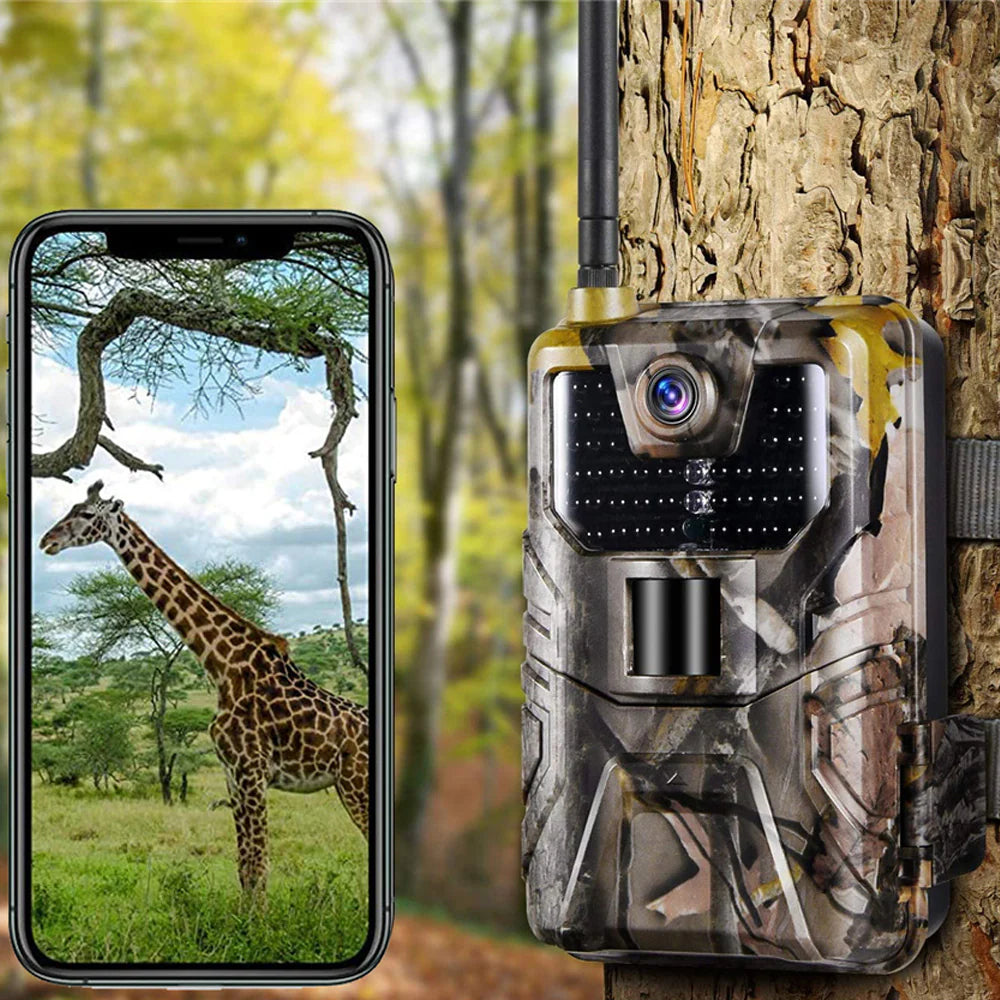 caméra De chasse 