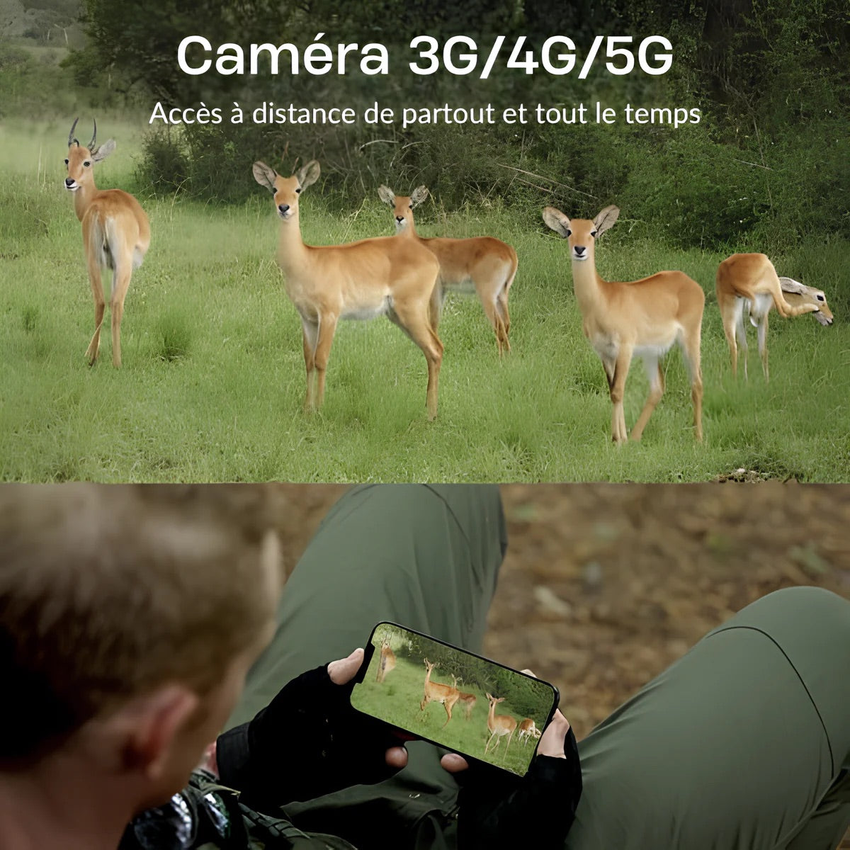camera de chasse 