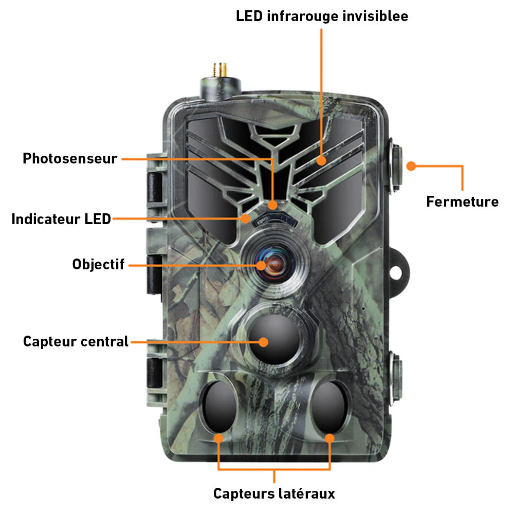 camera videos  surveillance 