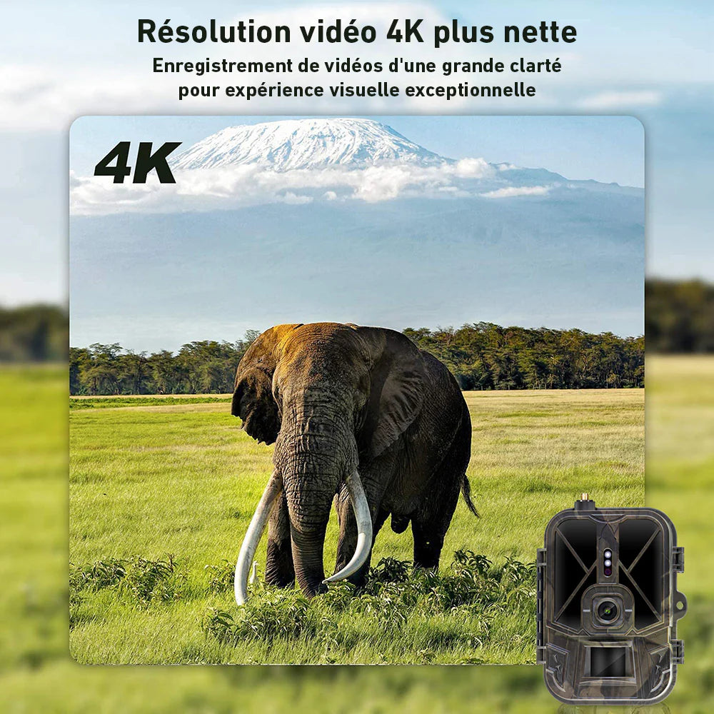 camera de chasse