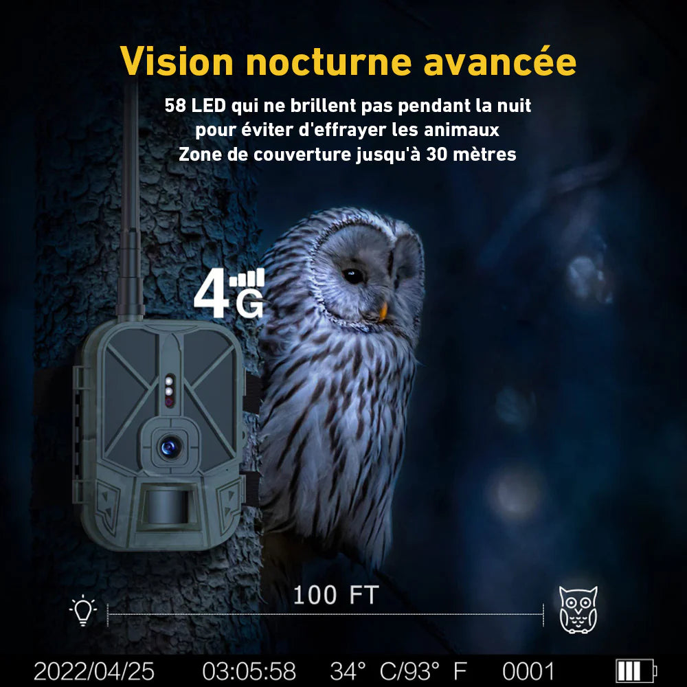 chasse camera surveillance 4g 