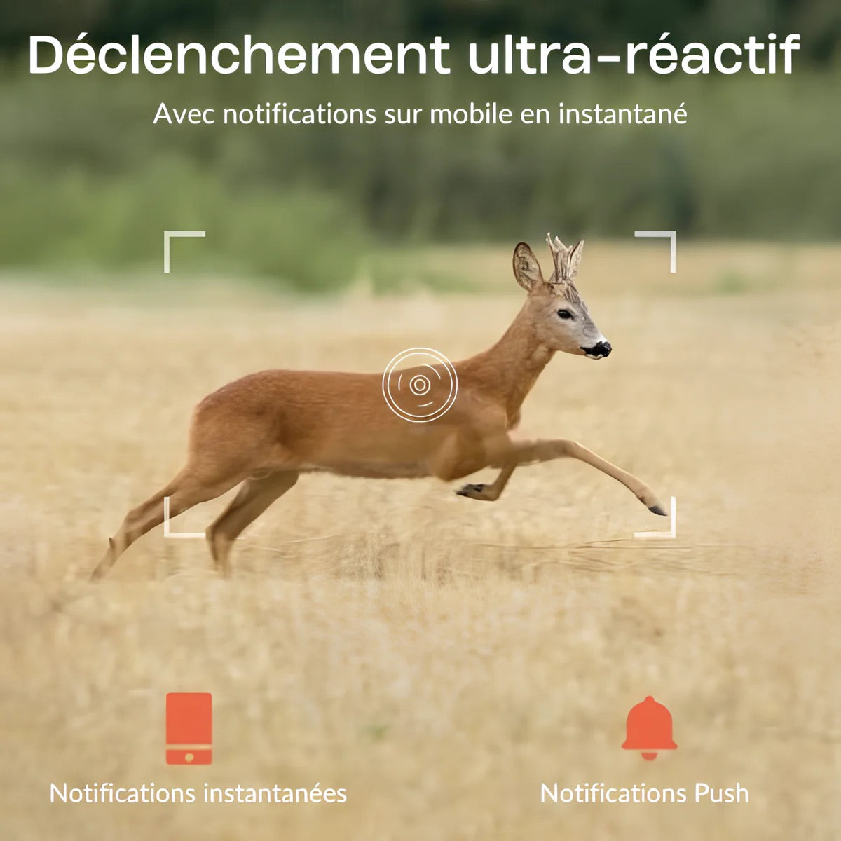 camera de chasse 