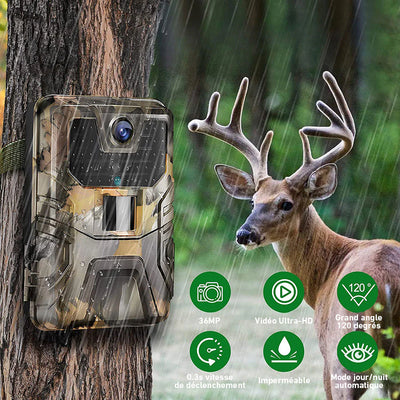 boutique camera de chasse surveillance 